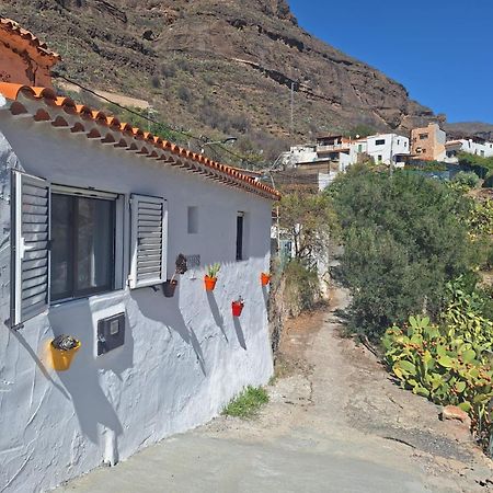 Casa Rural Los Pinares El Juncal De Tejeda Екстериор снимка