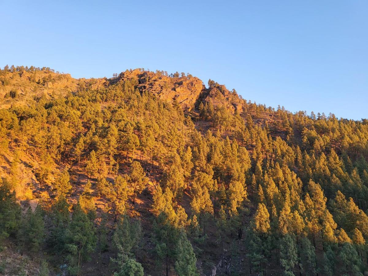 Casa Rural Los Pinares El Juncal De Tejeda Екстериор снимка