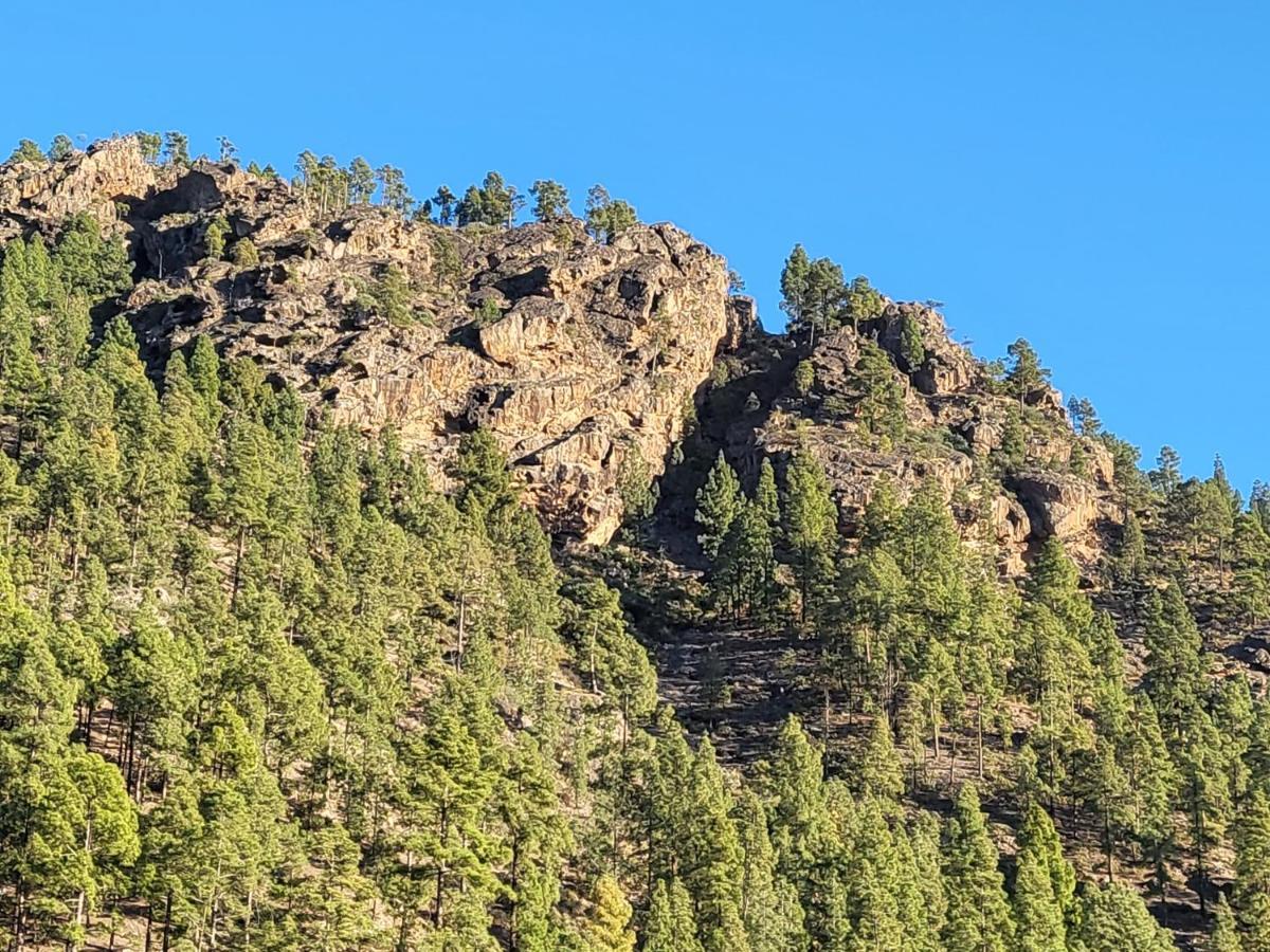Casa Rural Los Pinares El Juncal De Tejeda Екстериор снимка