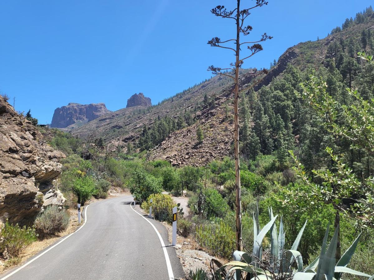 Casa Rural Los Pinares El Juncal De Tejeda Екстериор снимка