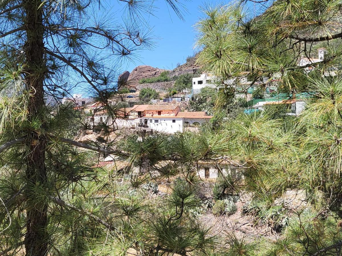 Casa Rural Los Pinares El Juncal De Tejeda Екстериор снимка
