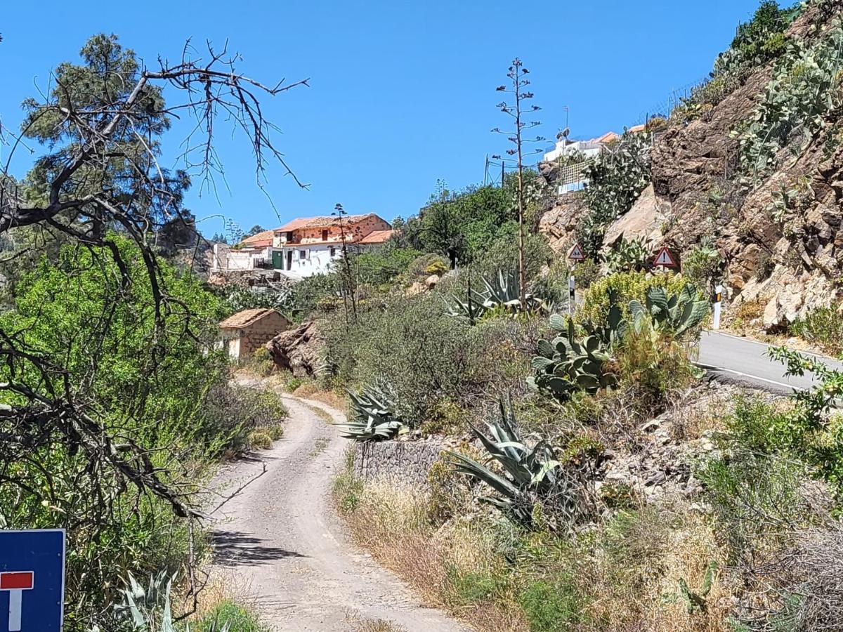Casa Rural Los Pinares El Juncal De Tejeda Екстериор снимка