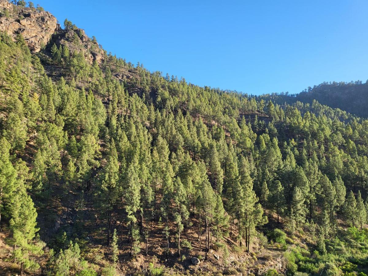 Casa Rural Los Pinares El Juncal De Tejeda Екстериор снимка