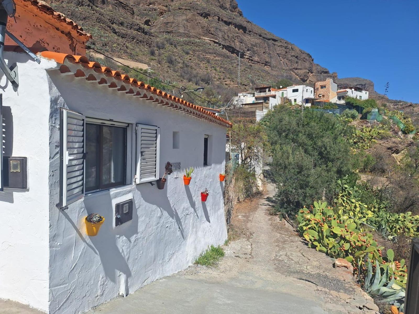 Casa Rural Los Pinares El Juncal De Tejeda Екстериор снимка