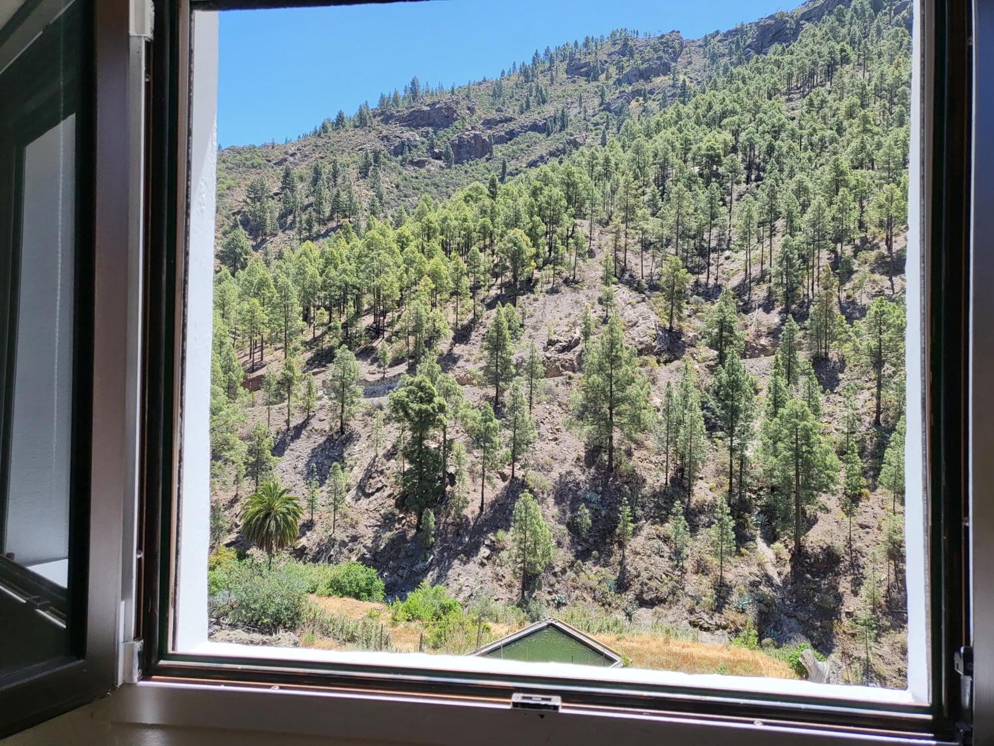 Casa Rural Los Pinares El Juncal De Tejeda Екстериор снимка